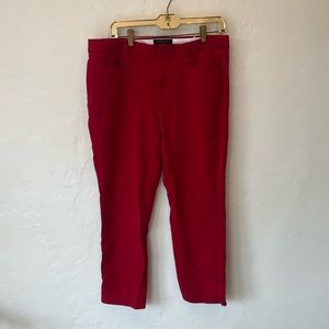Banana Republic Sloan Curvy Fit Pant Size 14 in Cranberry Red